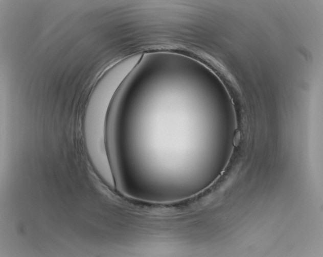 X0000115660889200911121211
