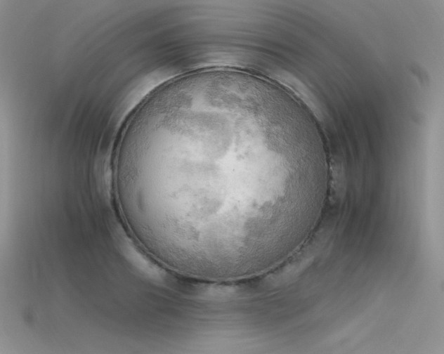 X0000115660890200911121211