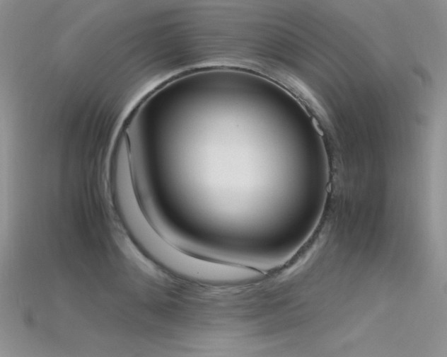 X0000115660892200911121211