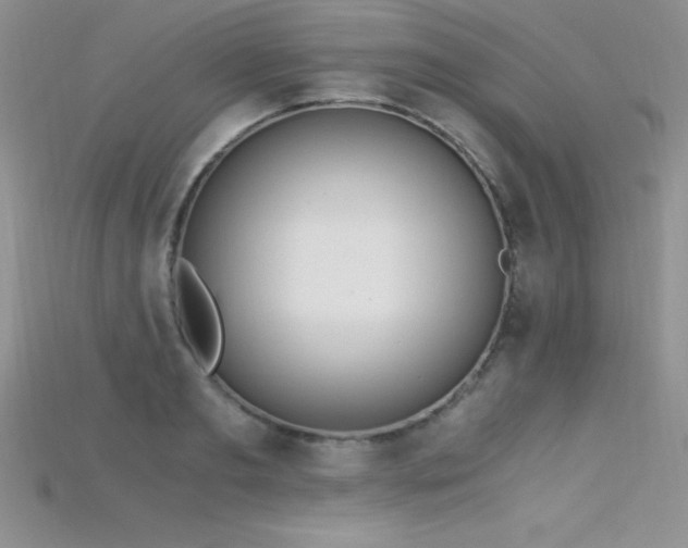X0000115660893200911121211
