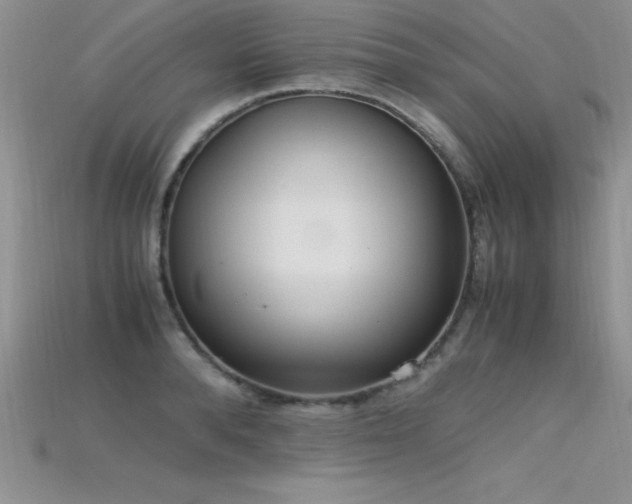 X0000115660896200911121211