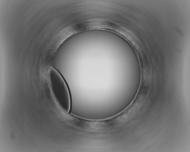 X0000115660897200911121211