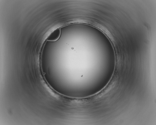 X0000115660898200911121211