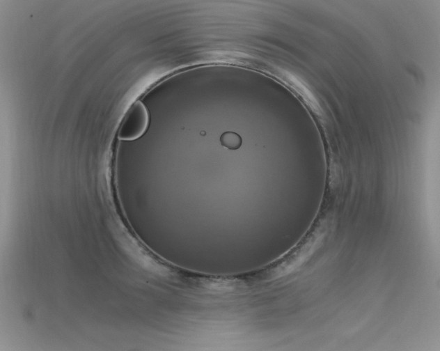 X0000115660899200911121211