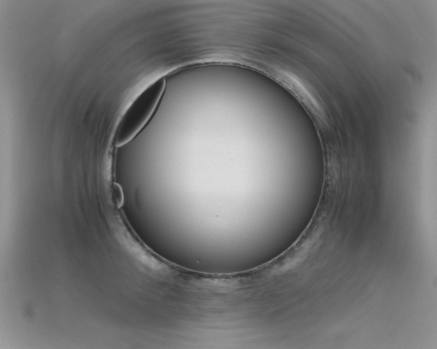 X0000115660900200911121211