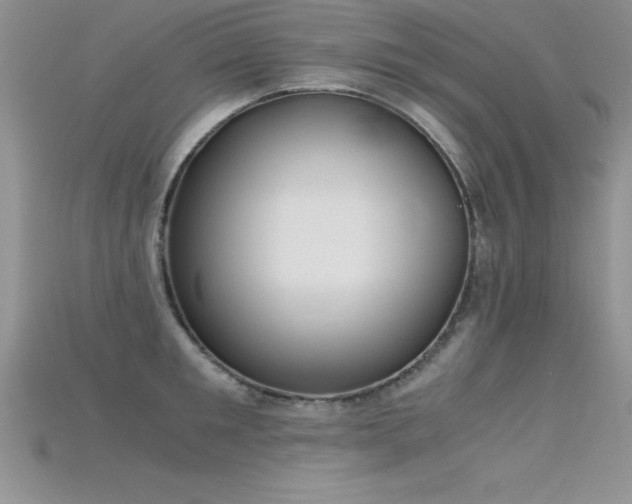 X0000115660901200911121211