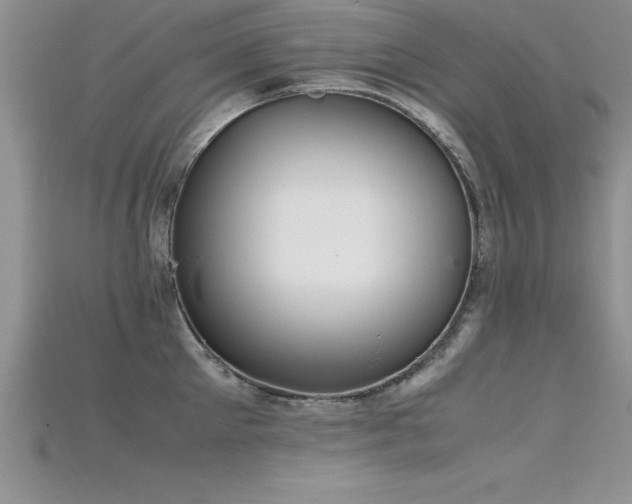 X0000115660905200911121211