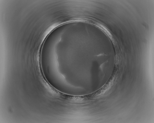 X0000115660907200911121211