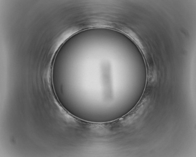 X0000115660909200911121211