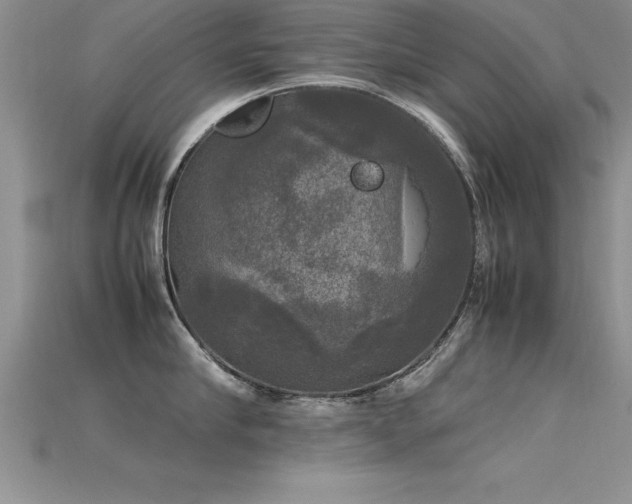 X0000115660910200911121211