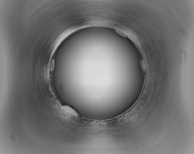 X0000115660912200911121211