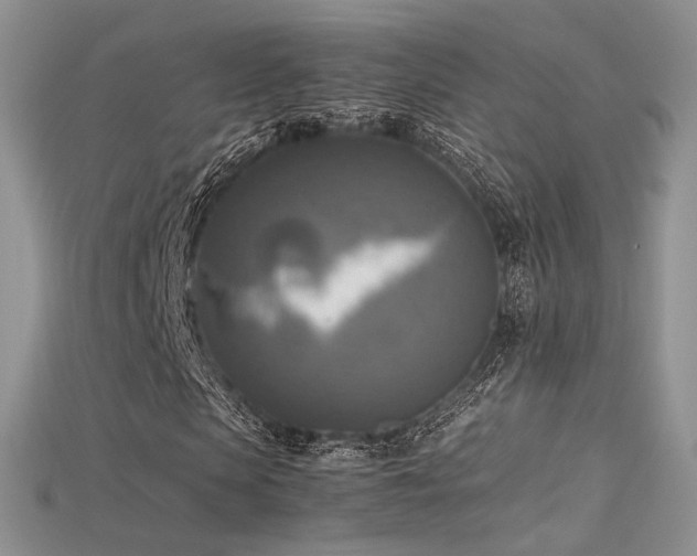 X0000115660913200911121210