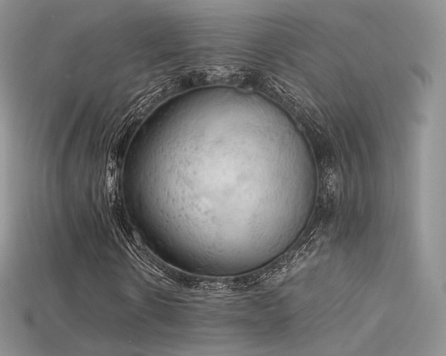 X0000115660914200911121210