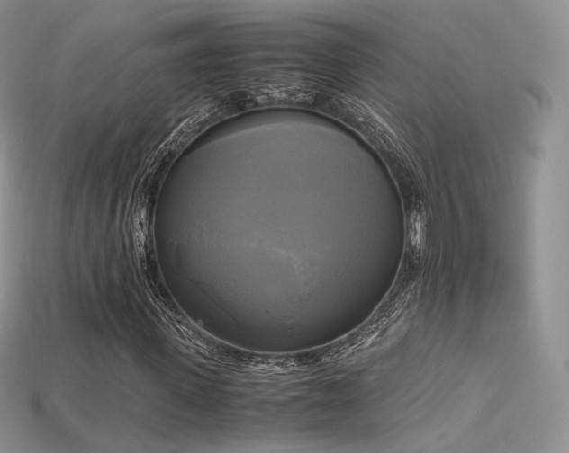 X0000115660915200911121210