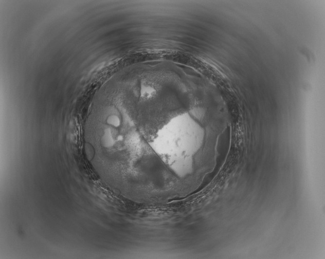 X0000115660917200911121210