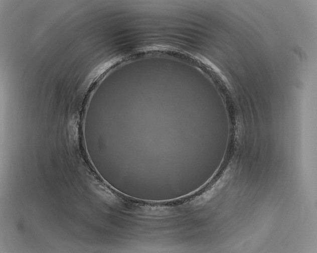 X0000115660921200911121210