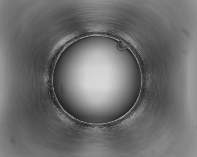 X0000115660922200911121210