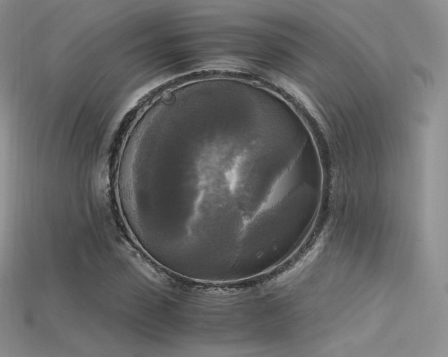 X0000115660923200911121210