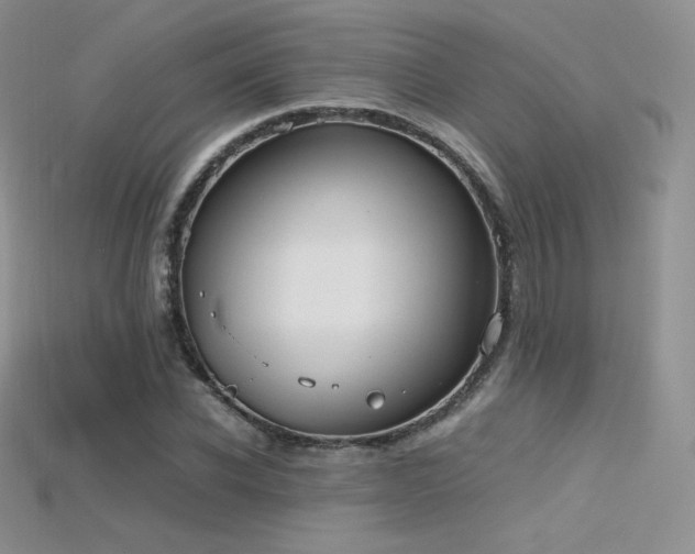 X0000115660926200911121210