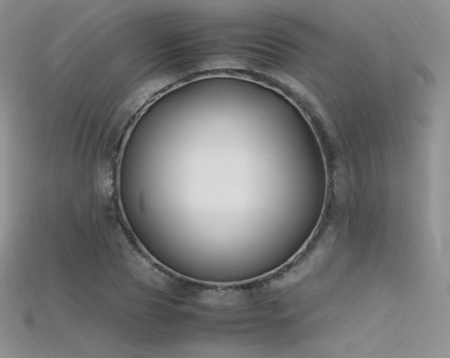X0000115660929200911121211