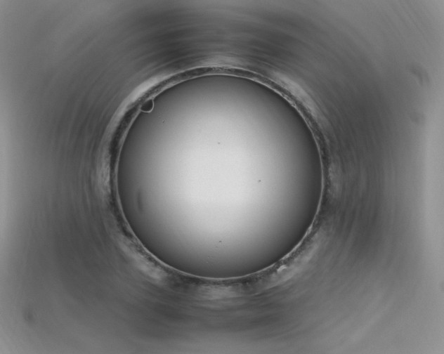 X0000115660931200911121211