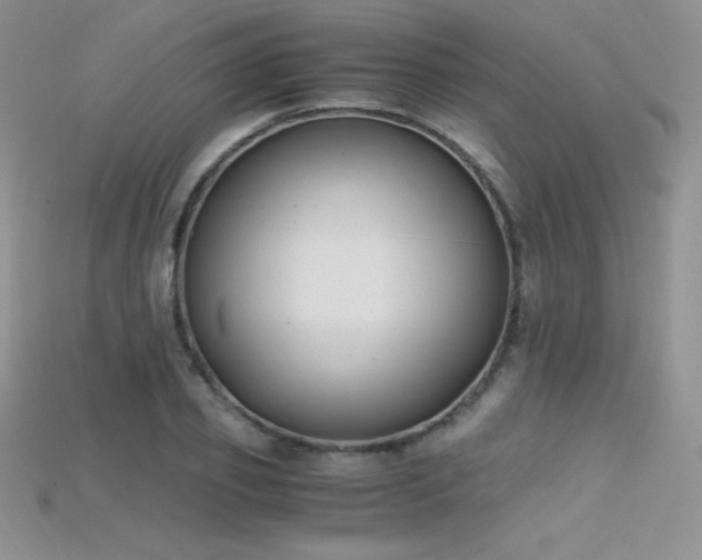 X0000115660933200911121211
