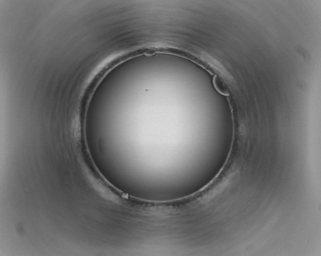 X0000115660934200911121211