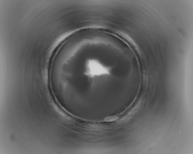 X0000115660935200911121211