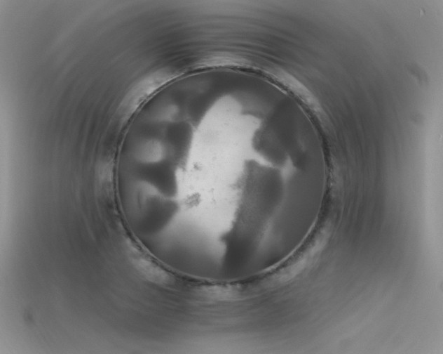 X0000115660937200911121211