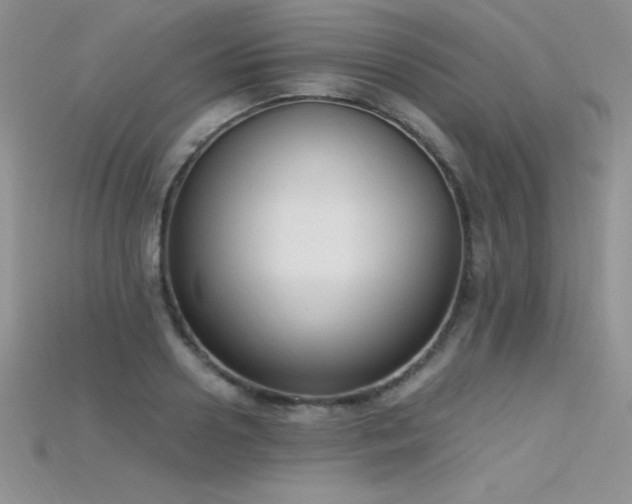 X0000115660938200911121211