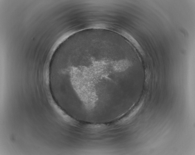X0000115660939200911121211
