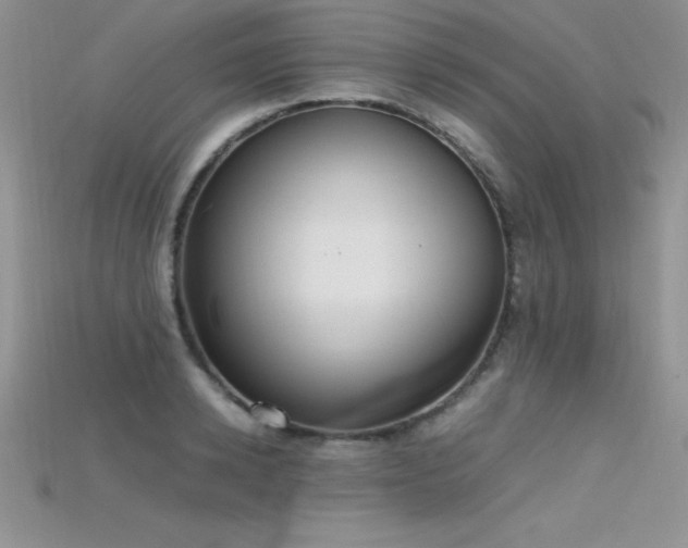 X0000115660942200911121211