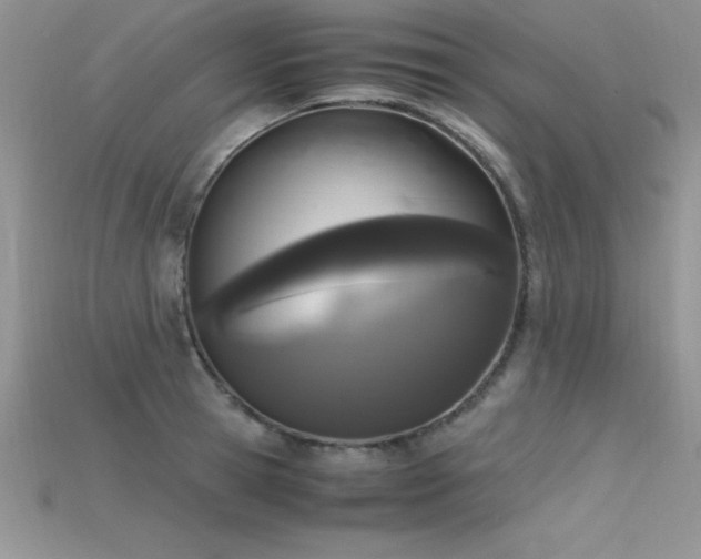 X0000115660945200911121211
