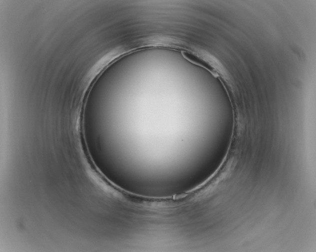X0000115660946200911121211