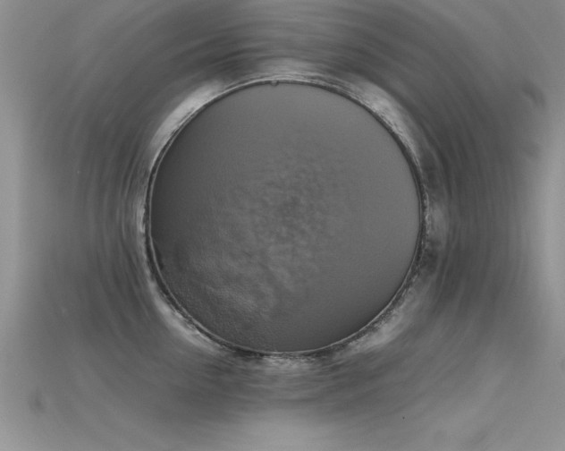 X0000115660954200911121211