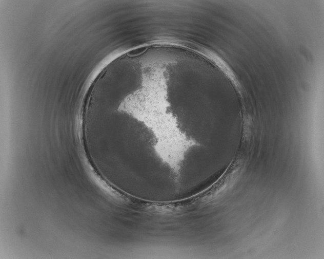 X0000115660955200911121211