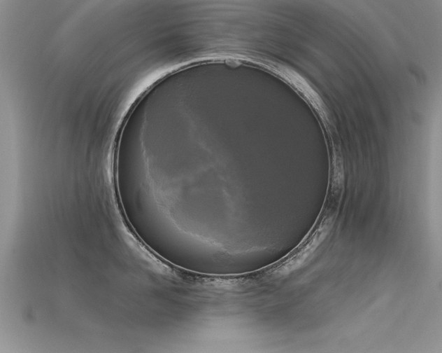 X0000115660958200911121211