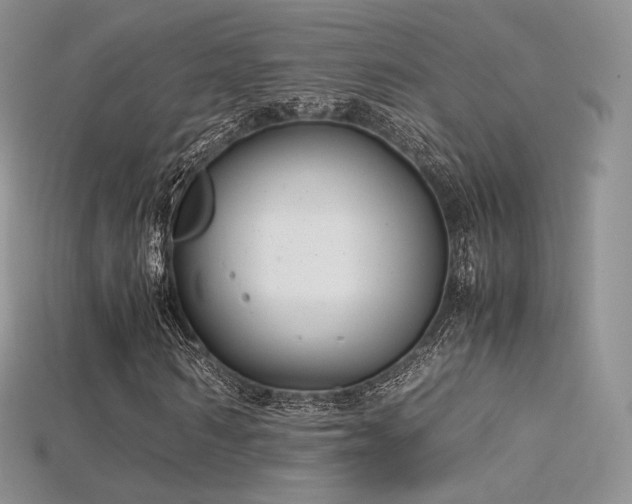X0000115660962200911121210
