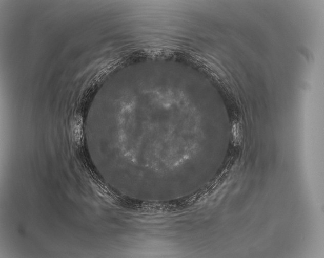 X0000115660963200911121210