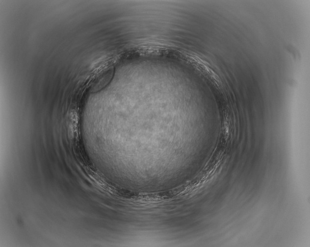 X0000115660964200911121210