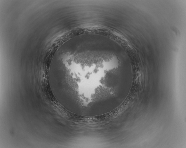 X0000115660966200911121210