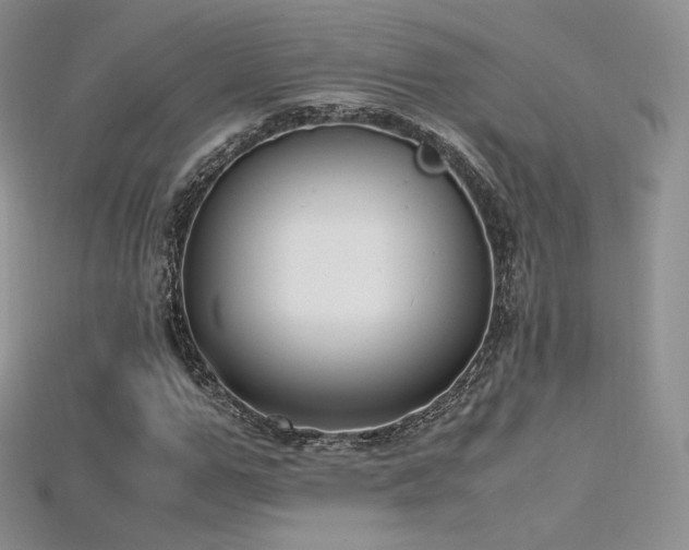 X0000115660967200911121210