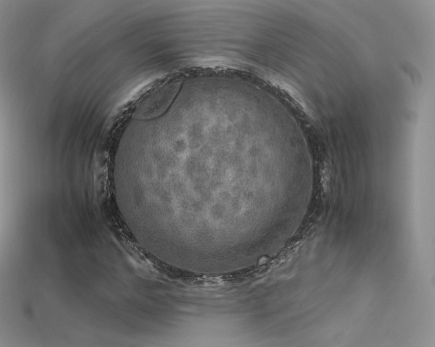 X0000115660968200911121210