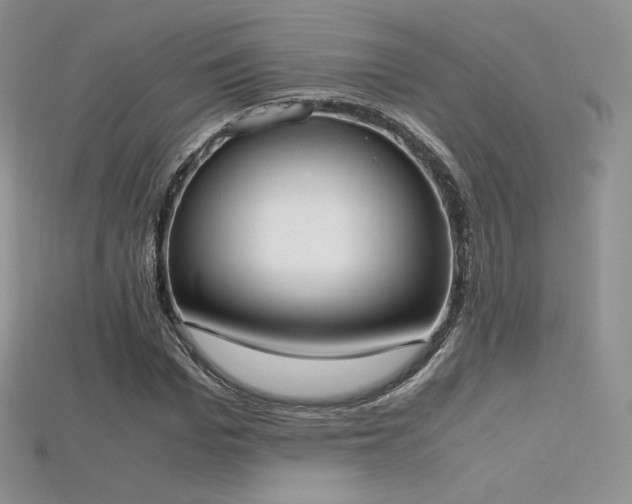 X0000115660969200911121210