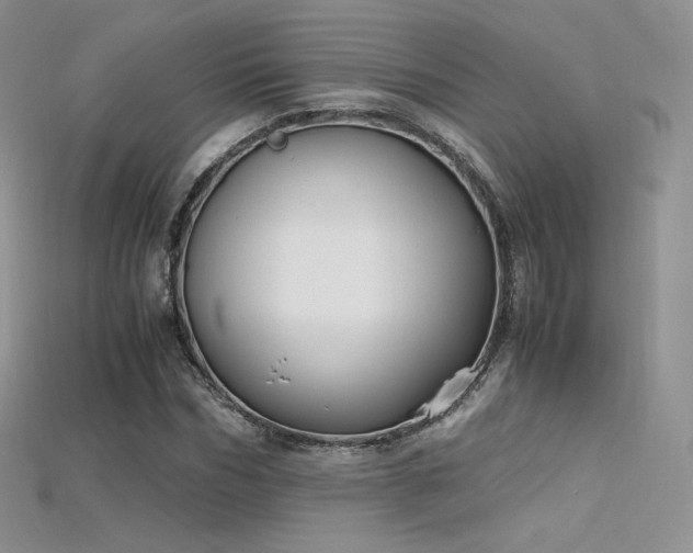 X0000115660970200911121210