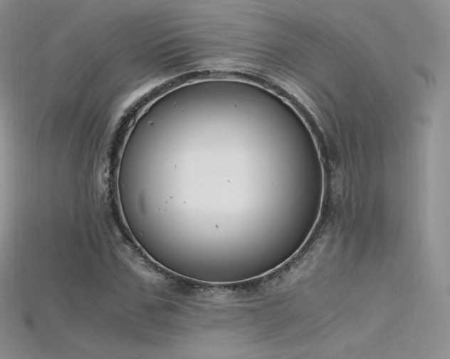 X0000115660971200911121210