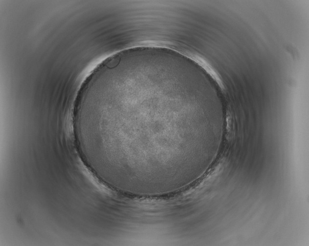 X0000115660972200911121210