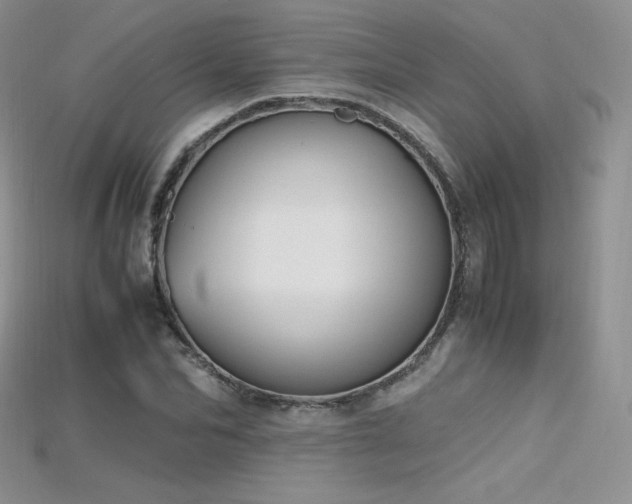 X0000115660974200911121210