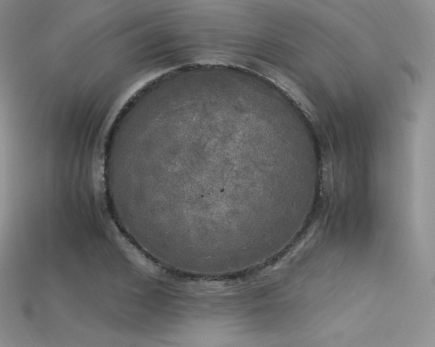 X0000115660976200911121210