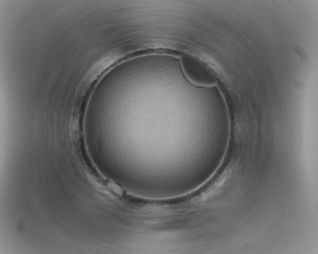 X0000115660977200911121210